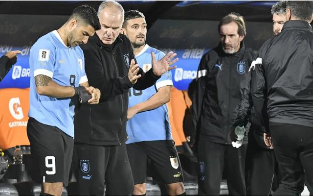 JRS直播网-苏亚雷斯炮轰贝尔萨到底有什么真相？